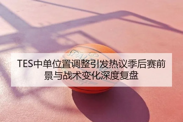 TES中单位置调整引发热议季后赛前景与战术变化深度复盘