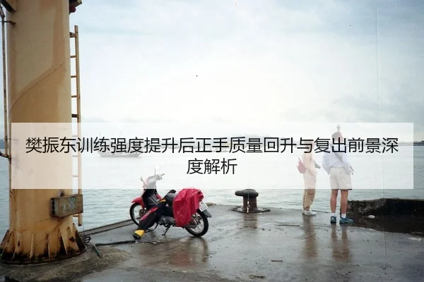 樊振东训练强度提升后正手质量回升与复出前景深度解析