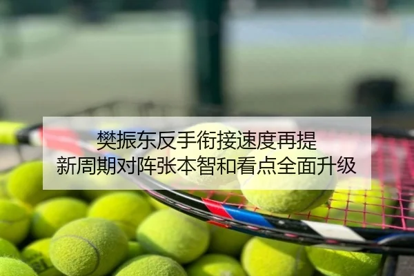 樊振东反手衔接速度再提 新周期对阵张本智和看点全面升级