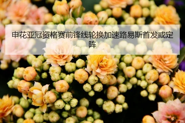 申花亚冠资格赛前锋线轮换加速路易斯首发或定阵